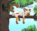 Zanny Nap