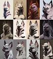 Portrait style studies. by Zyonji