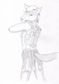 In No Way Xena Warrior Princess