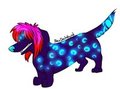 Relm the doxie! by Relm