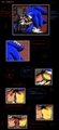 Sonadow Comic FAte of Shadow p 25
