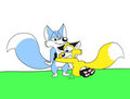 [2nd Gift] for LouieFox