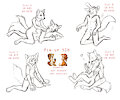 New ych by Flashwhite