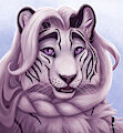 Jennifer Headshot from SimulDraws
