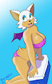 Rouge the bat at the beach by Blursedart