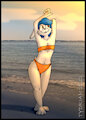 Swimsuit Raniese