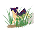 In the Tall Grass