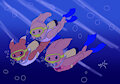Maple Town Scuba dive.