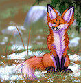 Sitting Fox
