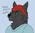 Trans rights. Always. by LupineAssassin