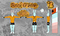 reference sheet for Brick!