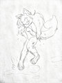 Splashes by Polymorph