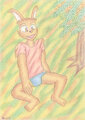 Korin Green Breeze 1