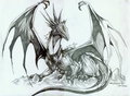 Dragon Lord