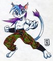 Furkido-1