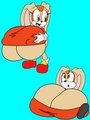 Oppai Rabbit and Raccoon
