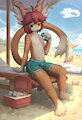 Arca at the beach