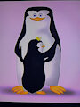 Connor Penguin OC by BusterBunny8
