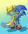 First Kiss (SonicxTails)