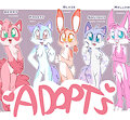 *PREORDERS AVAILABLE*_Pastel paws