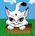 Ball Cat in a Box by Katalina