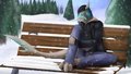 Winters Serenity