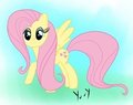 Flutterstep