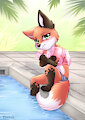 Puddle jumpers are not Schwimmflügel