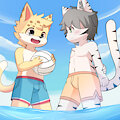 Volleyball summer~ by Choki1003