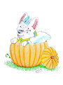 Dulces de calabaza (regalo)