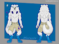 Introducing Morexis the Samoyed