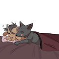 Boyfriend Blanket