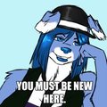 Commission 369 by SyraeUniverse