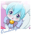 Camcom 2