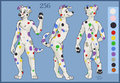 256 Dalmatian - Ref Sheet