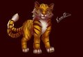 My Fursona Kuro by kuroodod