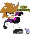 Secret Santa:The Speedy Hedgehog