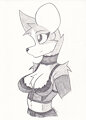 Corgi Lingerie