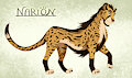 Narion by Tayarinne