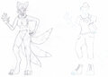 Mari Anthro WIP Sketch