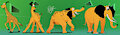 Gone from a Giraffe to an Elephant