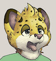 Marathons are not for cheetahs, by AkiPanda