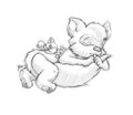 Sweet Dreams