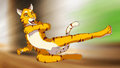 Kung-Fu Cat