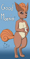 A little Vulpix