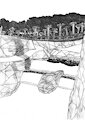 Rope bridge and water fall
