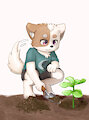Banyun by Kolka