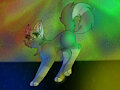 Disco