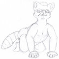 Baby Blonde Raccoon Adopt