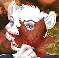 Autumn is here